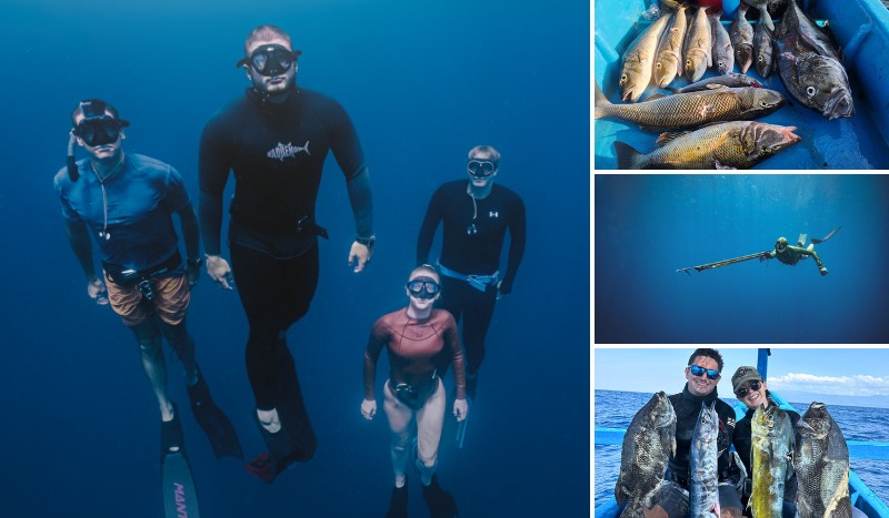 Aquatic Apes